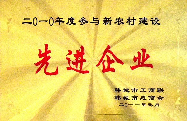 2010年度參與新農村建設先進企業.jpg